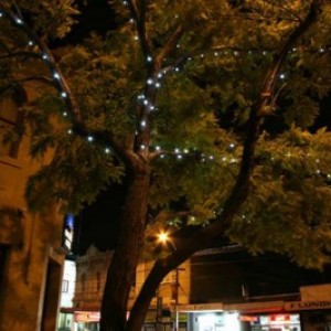 northcote bud lighting 01 399 266 95