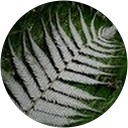 Jos Tait profile picture